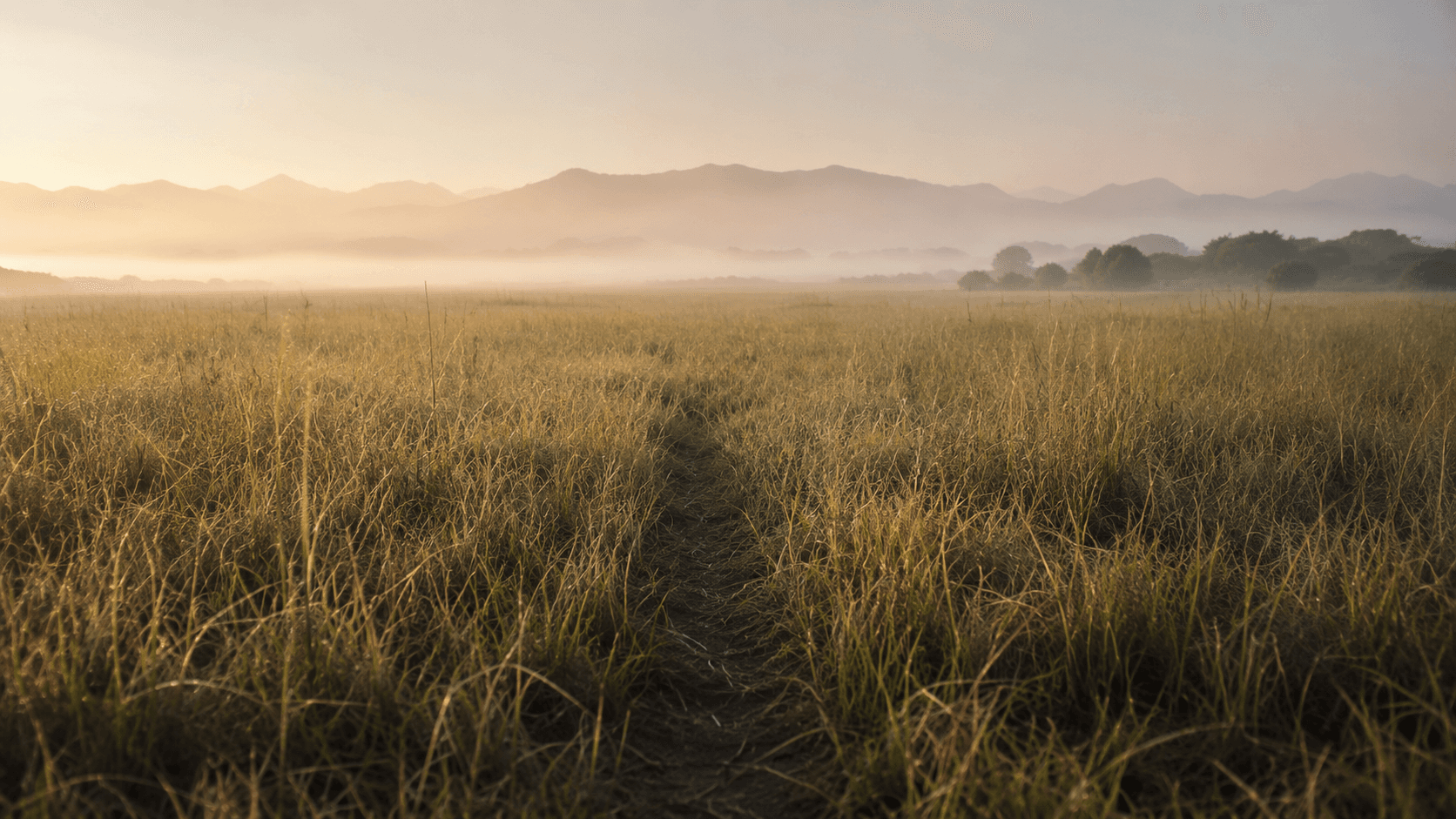 Early morning along the Shire River in Liwonde National Park, Malawi