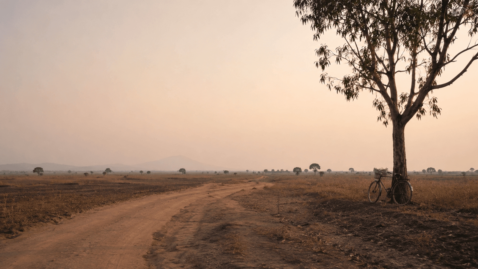 A tree-lined road leading toward Majete Wildlife Reserve in southern Malawi